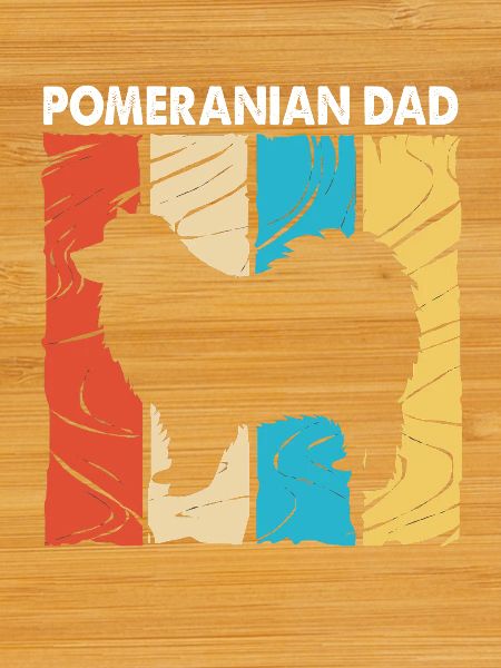 Zwergspitz Pomeranian Papa