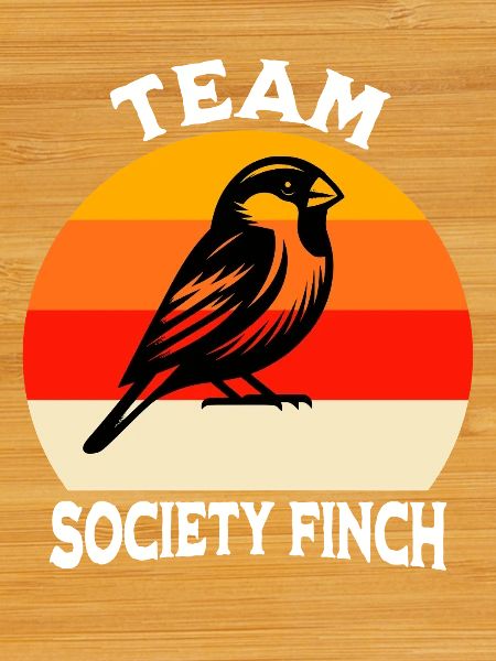 Team Japanese Seagull