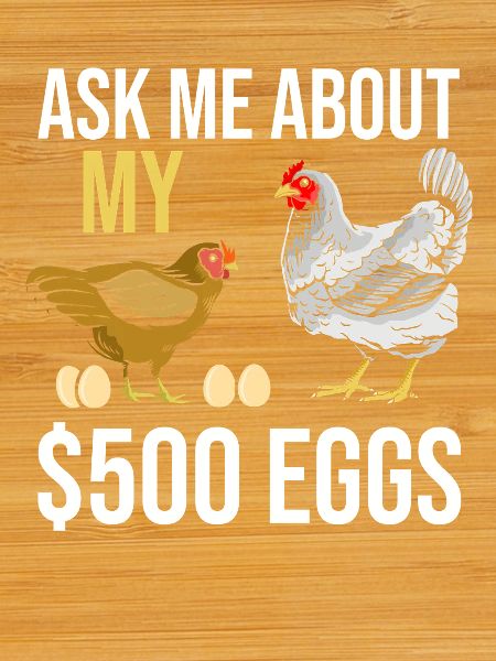 Farmer Rooster Flock Poultry Chicken