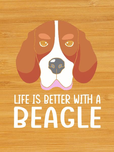 Beagle Dad