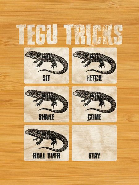 Tegu Tricks Reptilentricks Karten