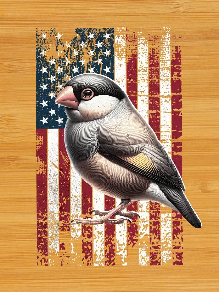 Java Sparrow US Reisamadine