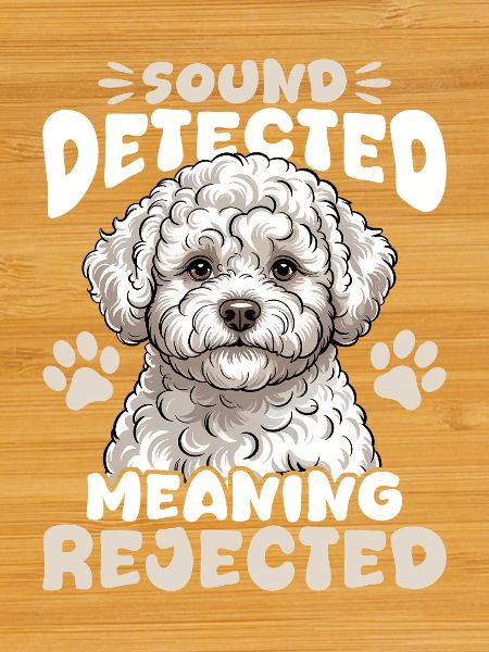 Bichon Frise Dog Breed