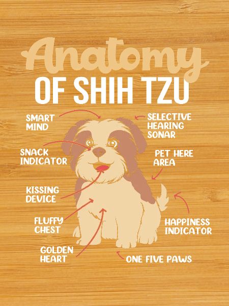 Shih Tzu