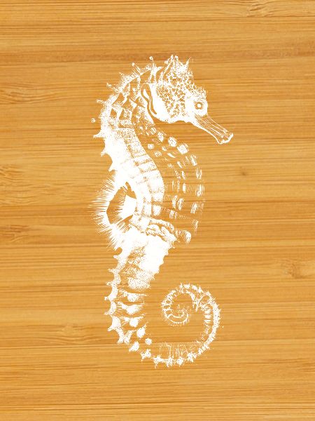 Seahorse Spiral Pattern