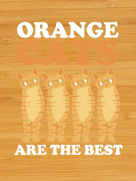 tabby cat
