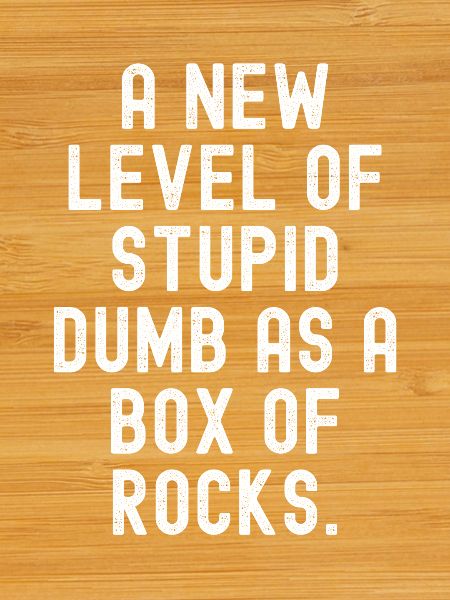 New Level of Stupid