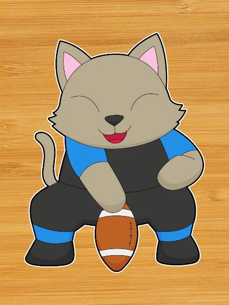 Cat American Football