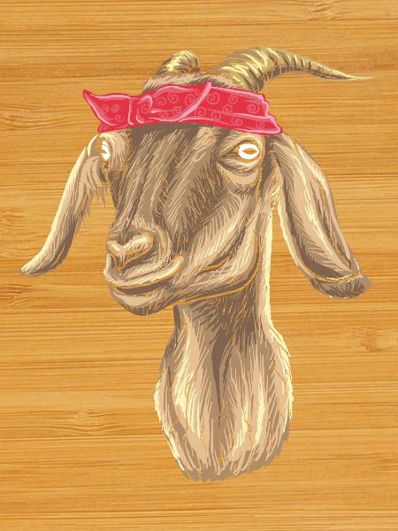 Chèvre avec Bandana