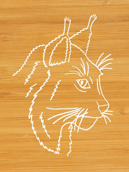 lynx