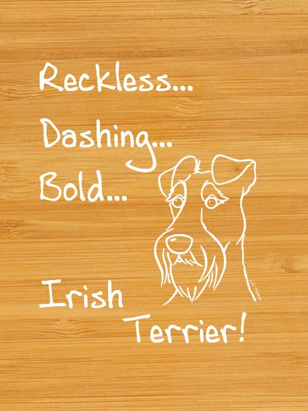 Irish Terrier