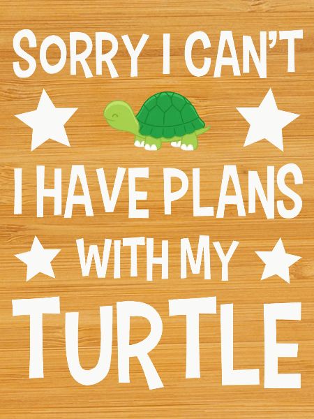 Turtles