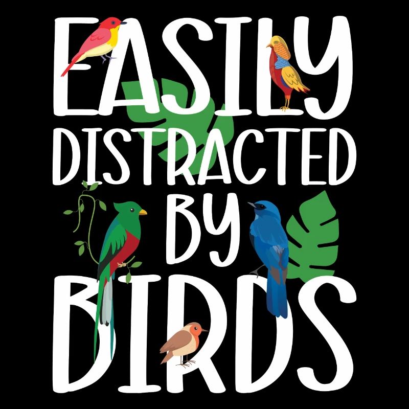 Facilement distrait par les oiseaux