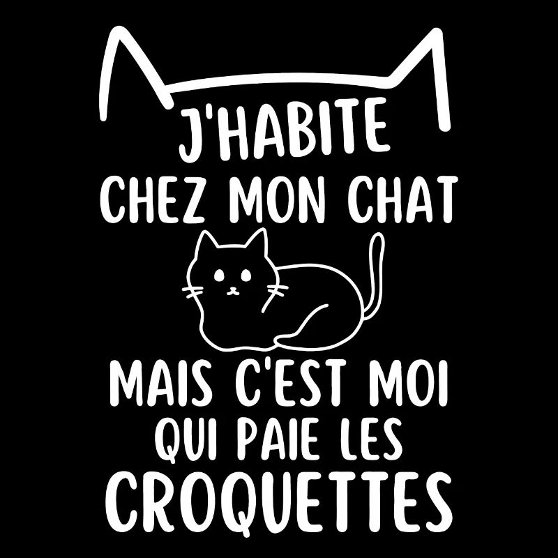 J habite chez mon chat mignon chat chaton doux