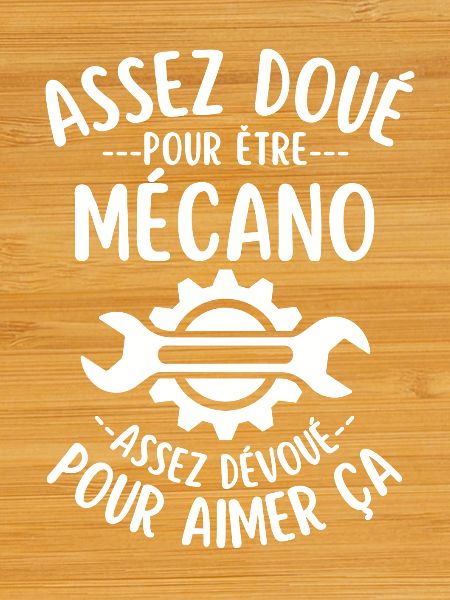 Mécanicien assez doué