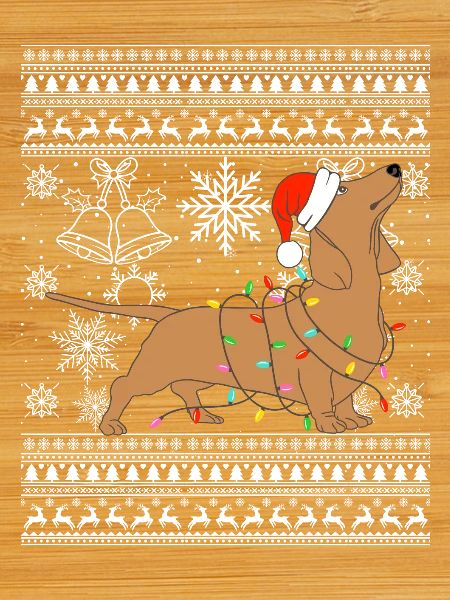 Teckel en mode Noël