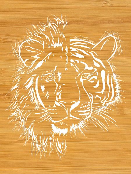 half lion half tiger