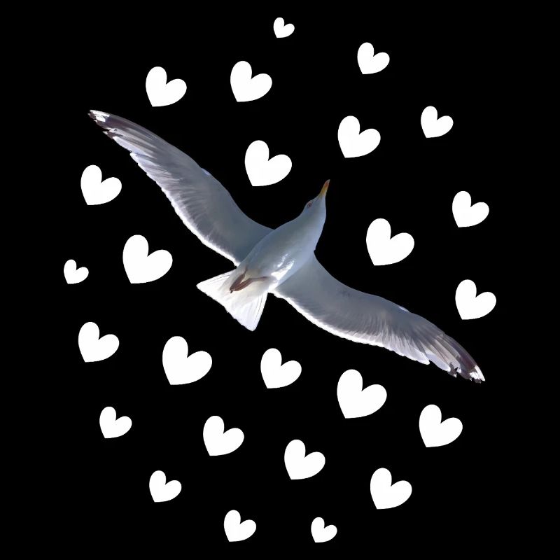 Mouette en vol, sois libre comme un oiseau