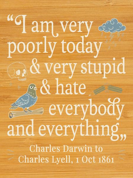 Charles Darwin Lustiges Zitat