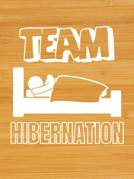 Team Hibernation au lit