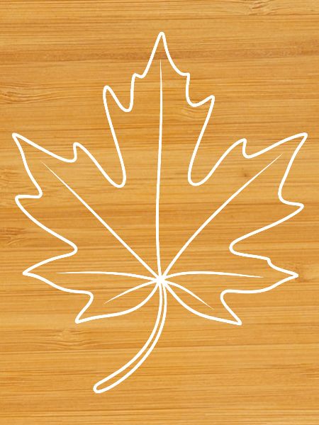 Maple Leaf Contour Design
