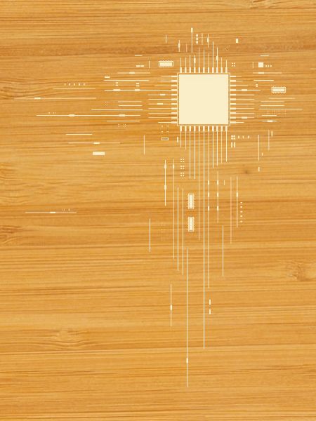 Processeur - PCB