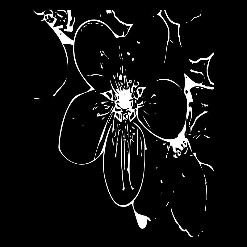 Abstract Flower / Line / Pattern / Nature / White