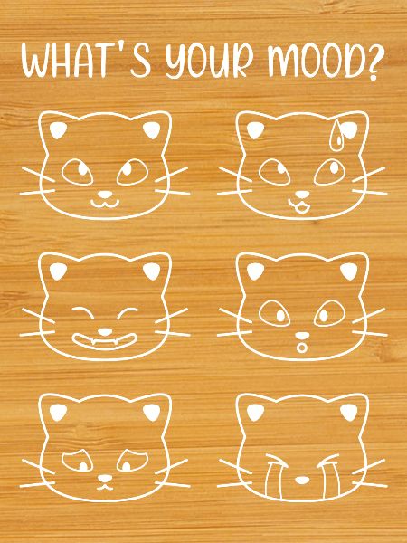 Cats - What's Your Mood?