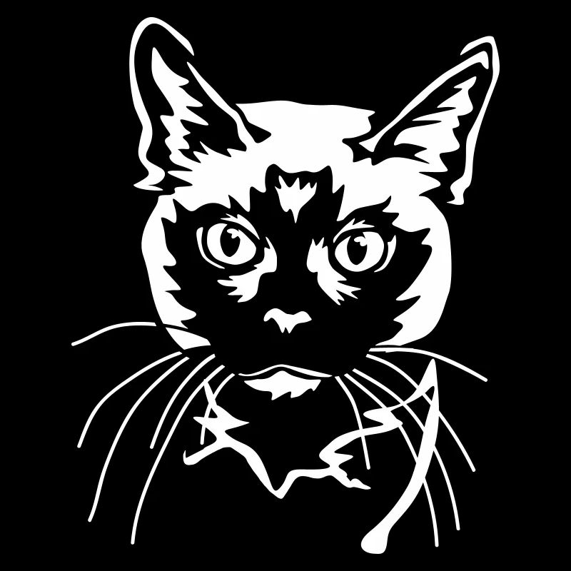 Chat siamois « Black Edition »