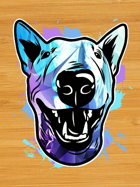 Bull Terrier Dog