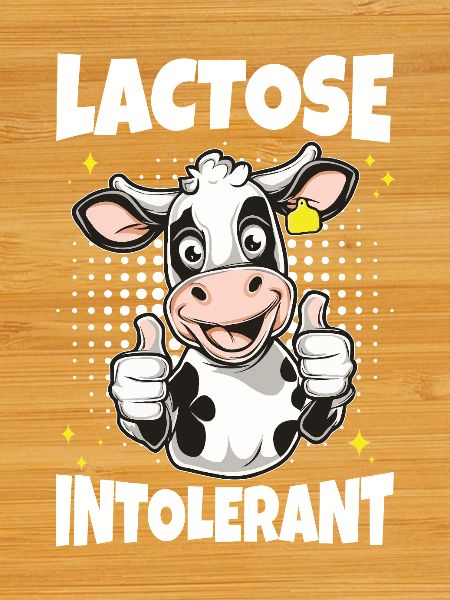 Lactose Intolerant Milk Cow