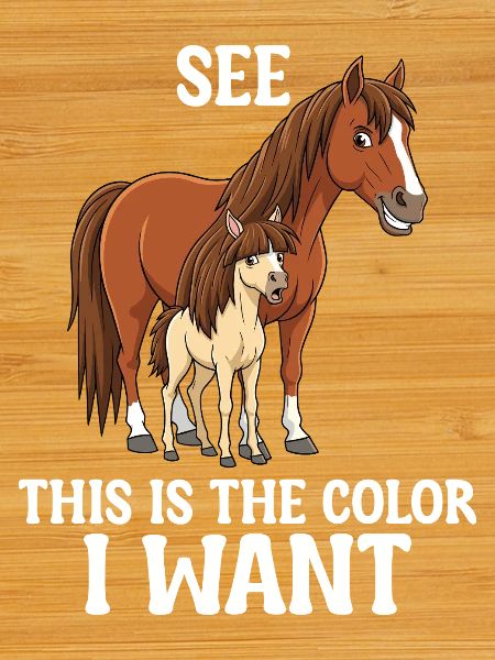 Humour Cheval Cavalier Équitation