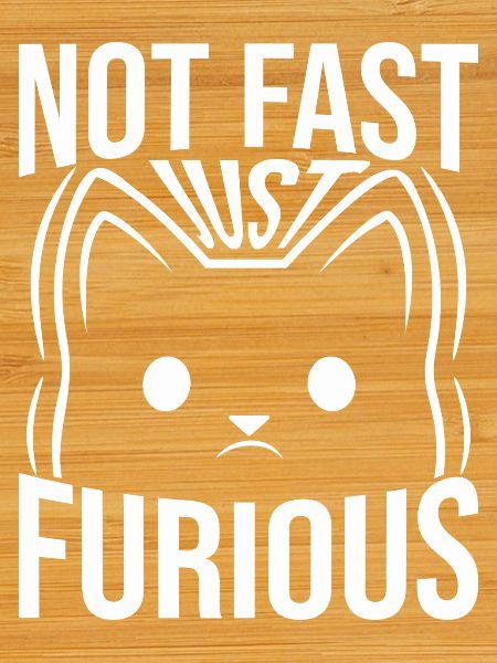 Not Fast Just Furious