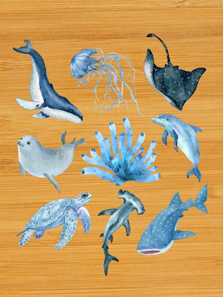 Ocean animals