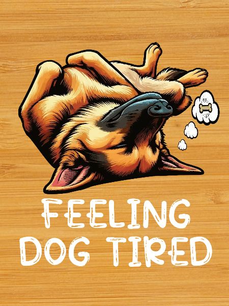 Feeling Dog Tired German Shepherd
