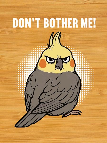Don't Bother Me Cockatiel