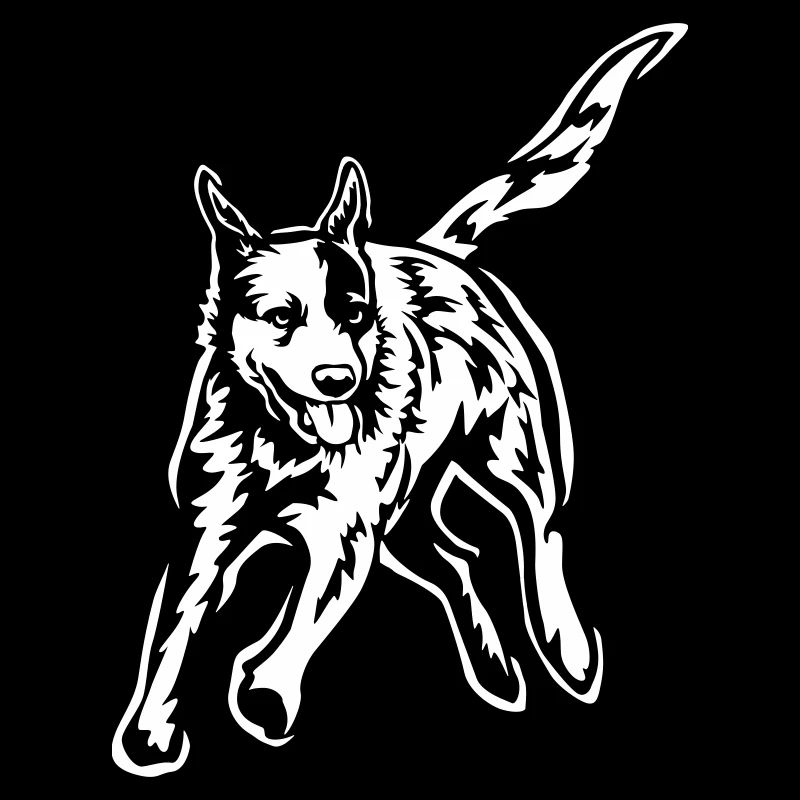 Australian Cattle Dog "Black Edition"