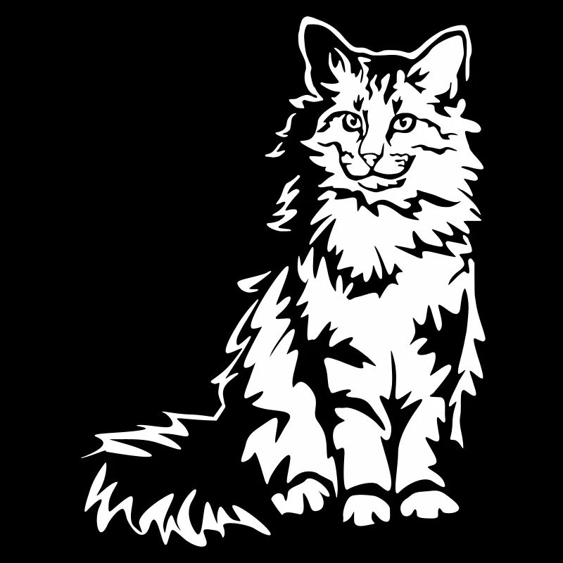 Chat des forêts norvégiennes « Black Edition »