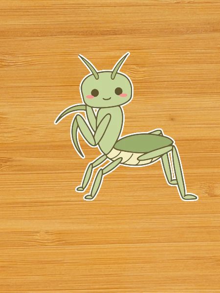 Elegant Praying Mantis