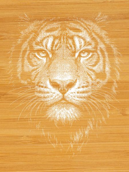 Tigre