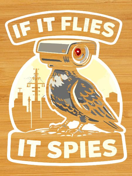 Raven with Camera Spy Design