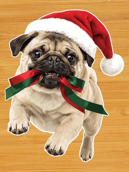 Playful Christmas Pug