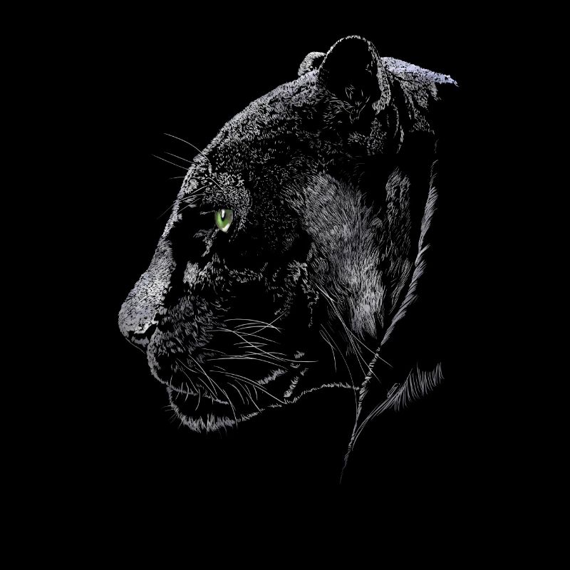 Panther