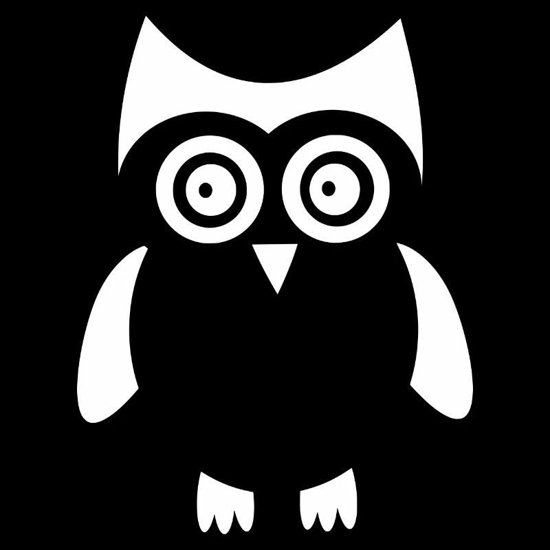 weiße Eule Vogel weiß