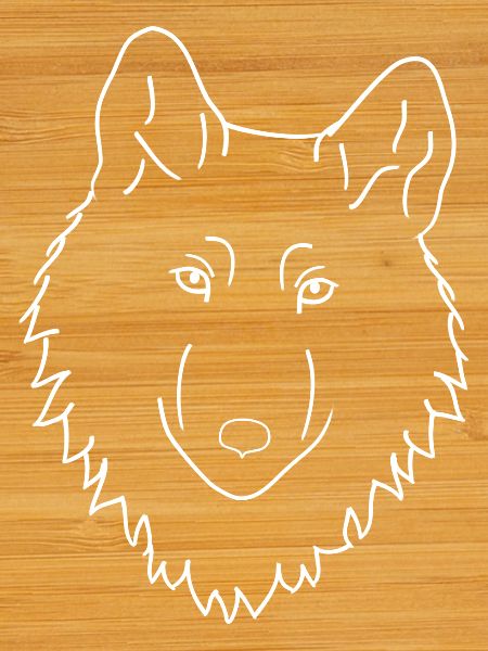Wolf - white