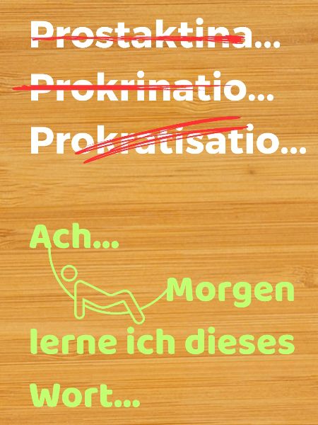 Procrastination Joke Funny Saying Hammock