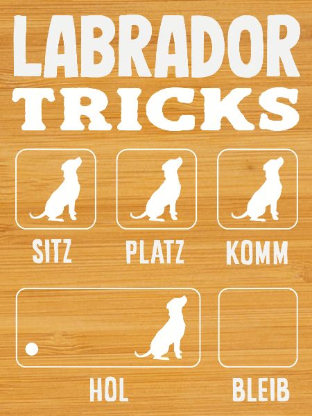 Astuces du Labrador