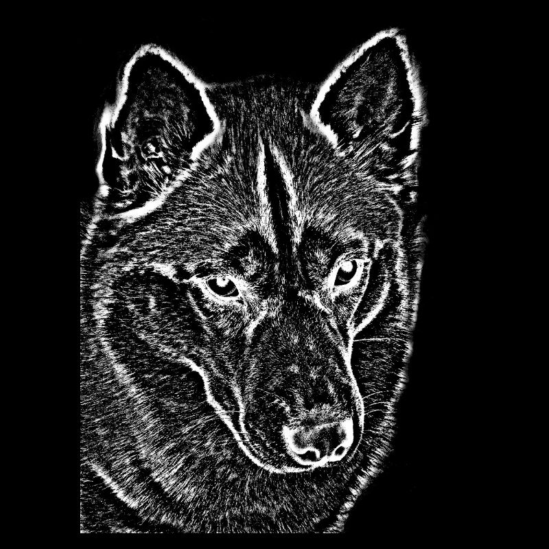Wolf View Ligne Dessin Imprimer Design Husky