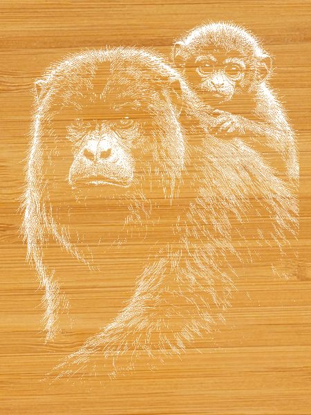 Howler monkey