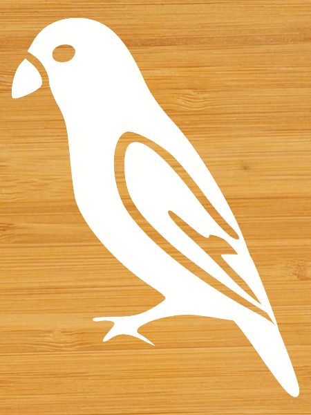 Bird White Gift Nature Lover